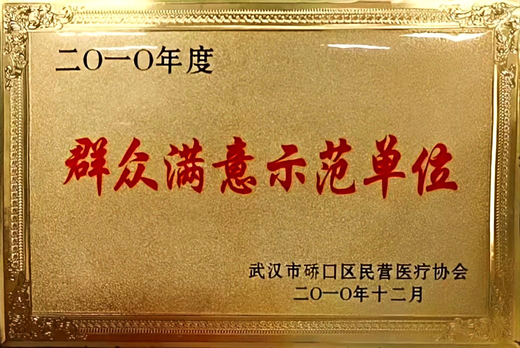 武汉宏昇生殖健康中医医院所得荣誉