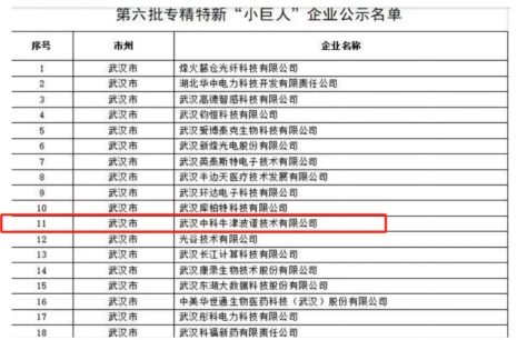 1749863118192538.jpg 222.jpg