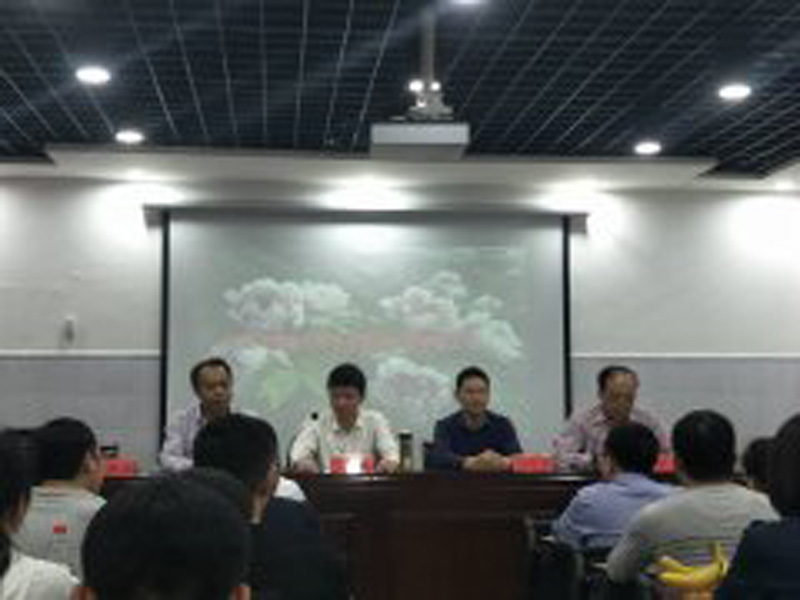 河南省内烧伤创疡修复交流会在洛阳第十医院召开