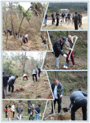 穹顶之下 守护绿色