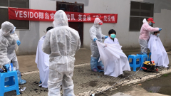 “爱心义剪”助力抗疫一线  椰岛美发团队为汉阳医院职工理发